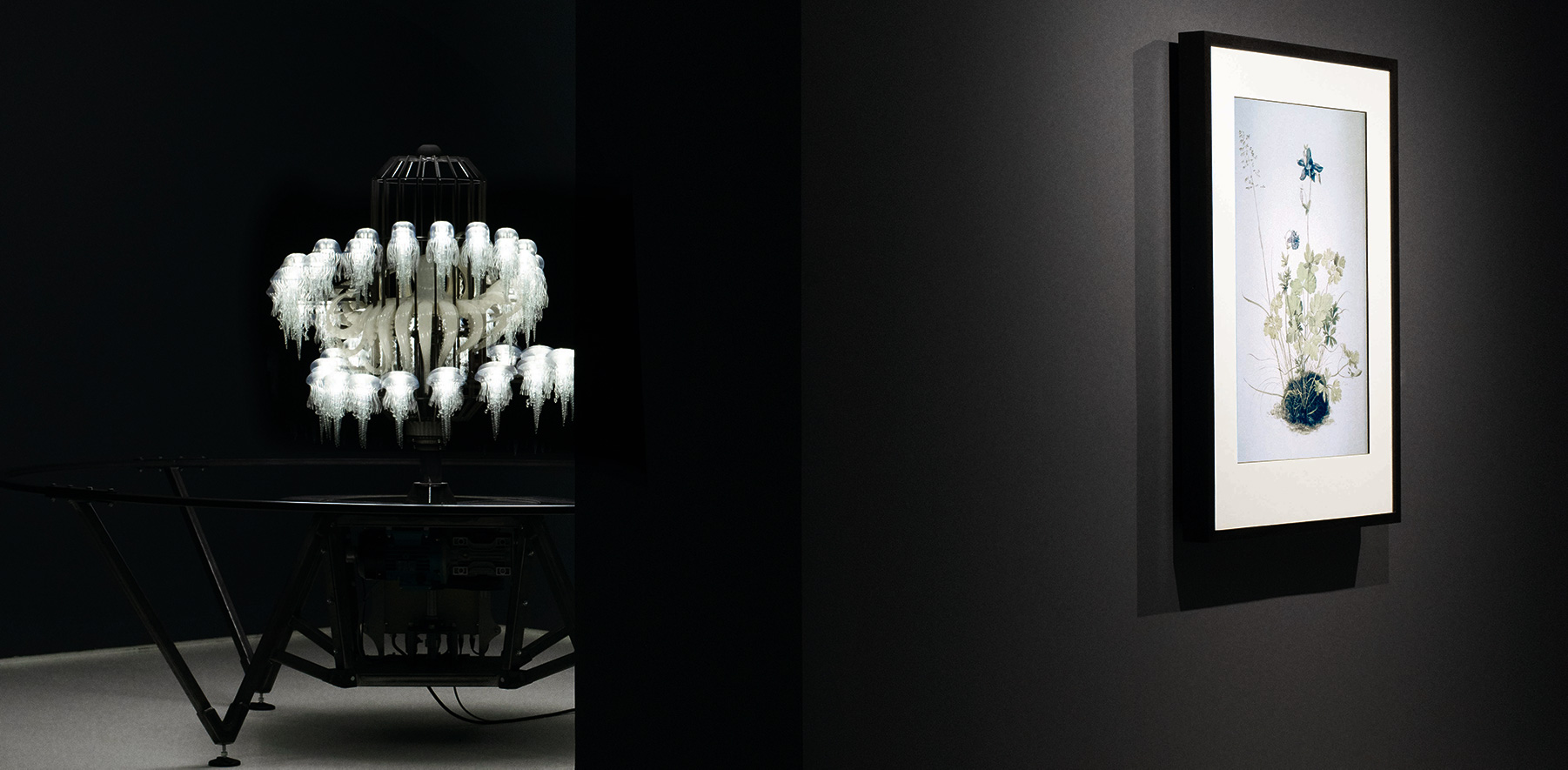 Mat Collishaw: Sounding Sirens