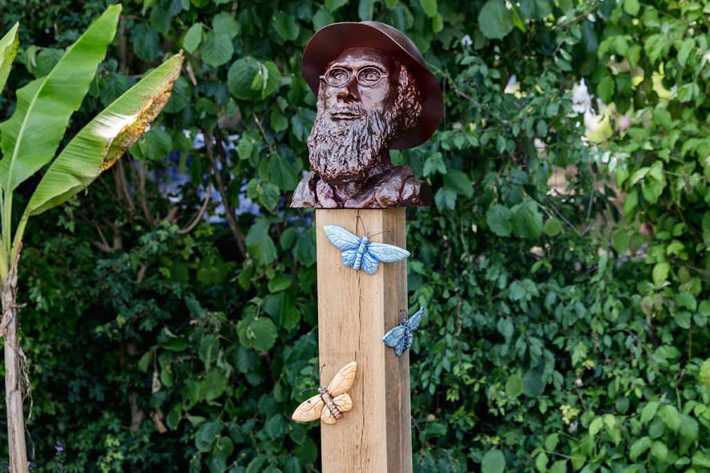 ARW WaterShedBlack-8 The Wallace Line Garden